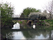 TL4152 : Footbridge near Haslingfield by John Sutton
