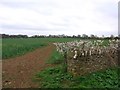 Clear cross-field  bridleway