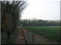 Footpath beside Follyclose Wood