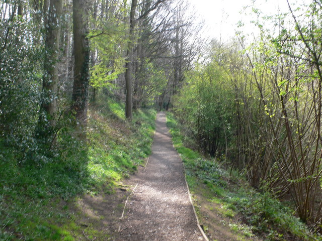 Wat's Dyke Way in Erddig Park © Eirian Evans :: Geograph Britain and ...