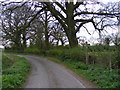 TM3167 : Old Rectory Road, Badingham by Geographer