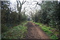 Footpath off Galley Lane