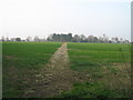 Footpath to Pommeus Lane