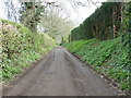 Track and footpath 2442 to West Wantley Farm