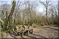 Bench in Church Wood