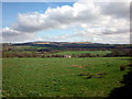 Pasture land near Abbey Village