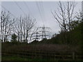 Pylons at Talwrn