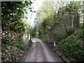 Old stonework each side of the lane