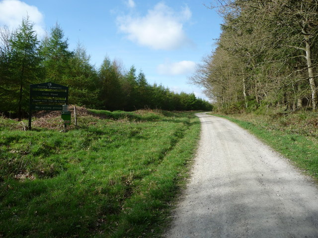 Path and track into Croft Wood