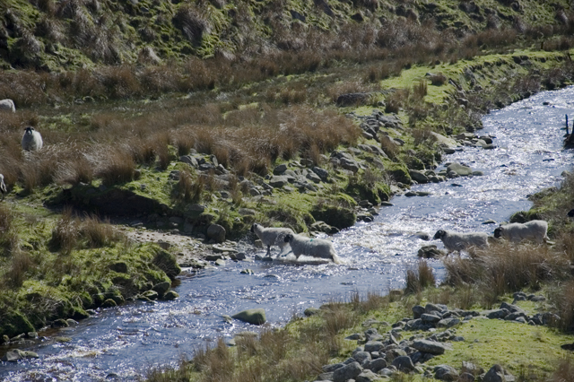 River Calder © Tom Richardson cc-by-sa/2.0 :: Geograph Britain and Ireland