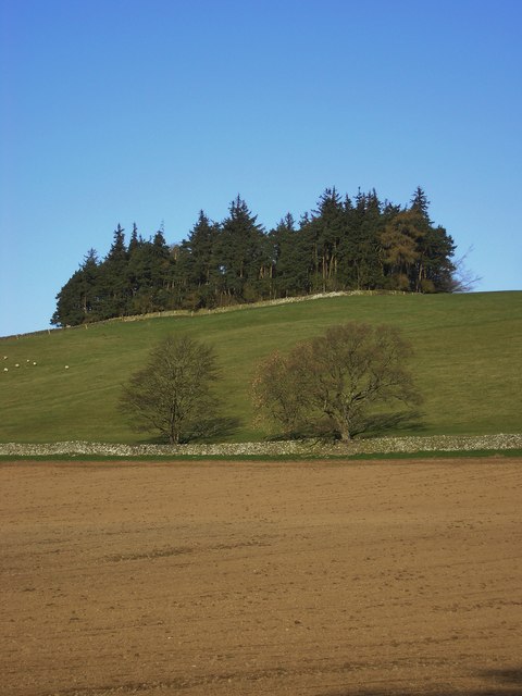 The Rink Hill Fort
