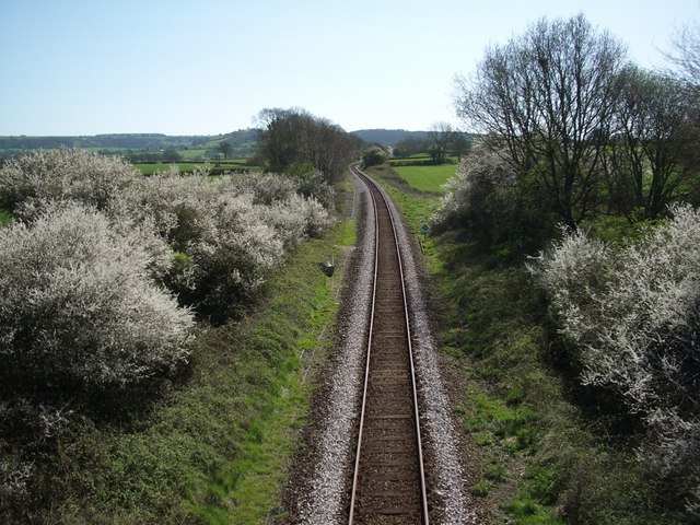 Railway (Yeovil / Weymouth line) looking south from Melbury Bubb