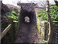 Path under the railway line