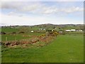 Killeenan Townland