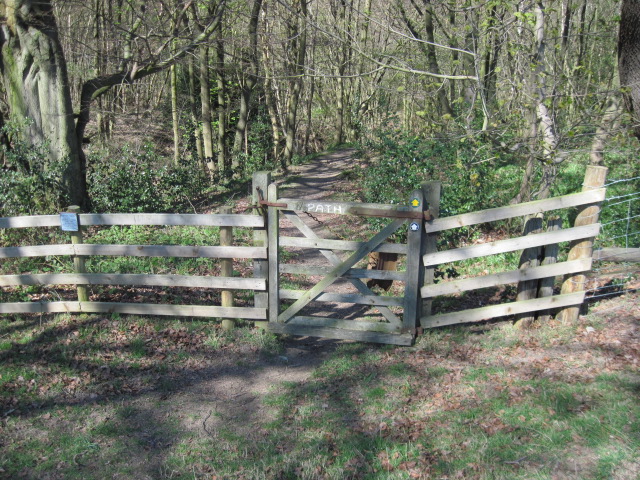 Footpath into Moorhall Wood