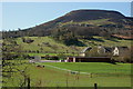 House and pasture below Eildon Hill North