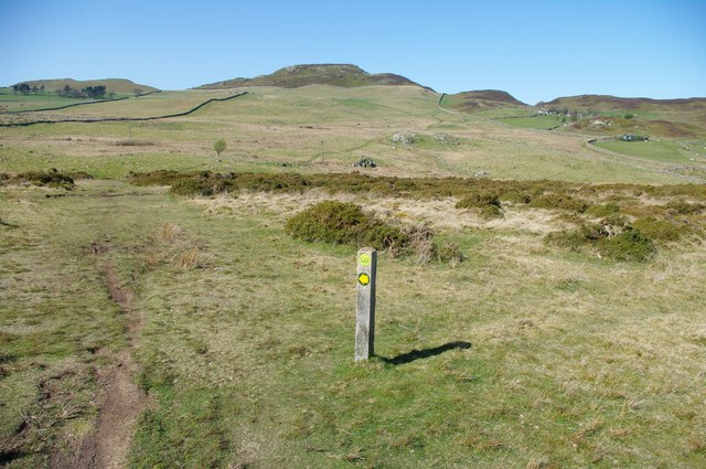 North Wales Path waymark