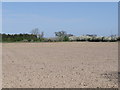 Farmland near Cottage Farm