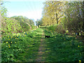 Path from North Lodge Lane to Long Plantation