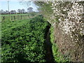SE7233 : Drainage ditch near Waterloo Farm by JThomas