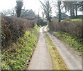 Lane from Foresters Oaks to Llandevaud church and hall