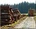 NX2966 : Loading Lumber on a Lorry by Andy Farrington