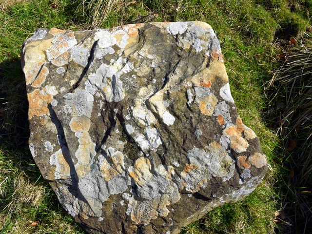 Lichen-encrusted boulder