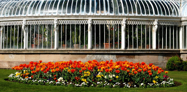 Flower bed, Botanic Gardens, Belfast (7)