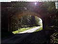 NU1210 : Railway bridge near Lemmington Wood by Andrew Curtis