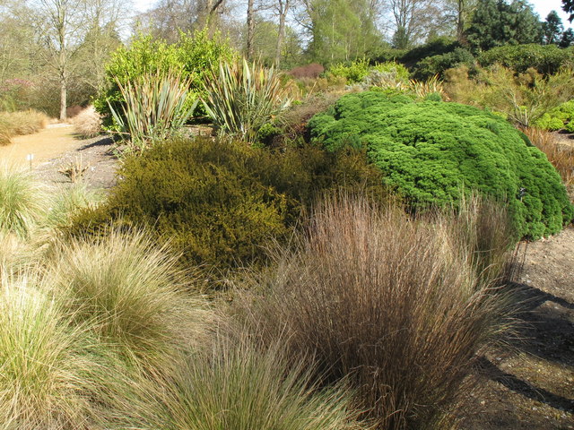 New Zealand Garden, Savill Garden © David Hawgood :: Geograph Britain ...