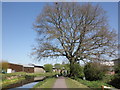 Bridgwater Canal