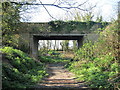 Bridge over old railway line