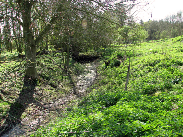 Moated site, Arminghall