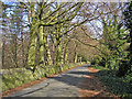 Road at Magdale