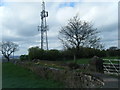 SJ8960 : Mast near Over Hall Farm by Colin Pyle