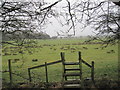 Stile and Footpath towards Mount Huly