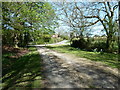 Bridleway 774/1 meets Newpound Lane on a bend