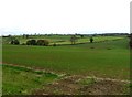 Fields near to Scalford