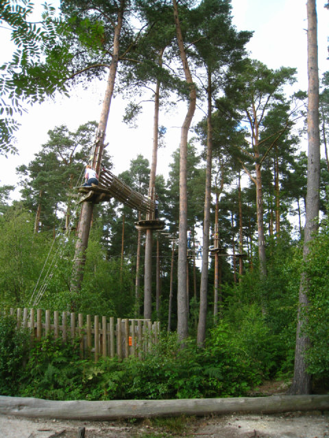 Go Ape - Alice Holt Forest