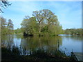 Claydon Lake