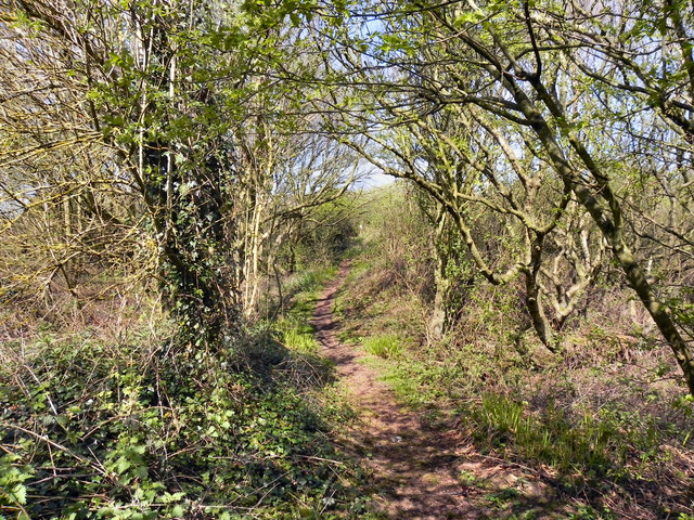 Sefton Coastal Path © David Dixon :: Geograph Britain and Ireland