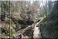 Footpath by Old Roar Gill