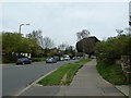 Grass verge in Rectory Road