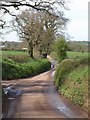 Lane at Tale Common Head Cross