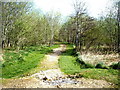 Path to Meadow Farm