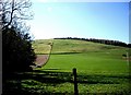 A neatly quartered hillside above Berwyn