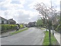 Carr Hill Drive - viewed from Carr Hill Grove