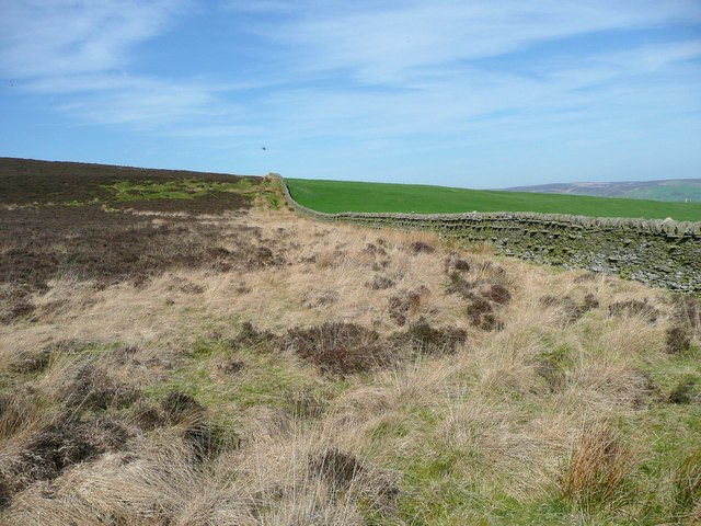 Eastern boundary wall of Draughton Moor