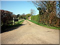 The way to Beeches Farm