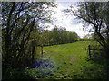 Footpath to Mill Road